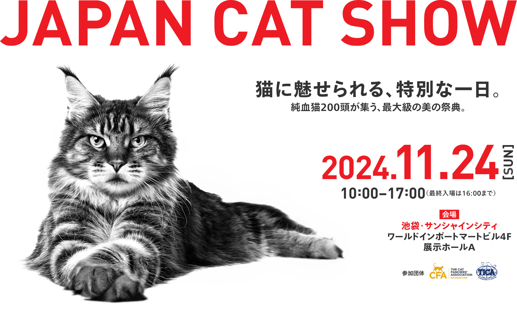 JAPAN CAT SHOW