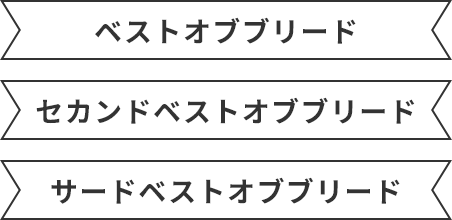 ベストオブブリード(BOB)選出