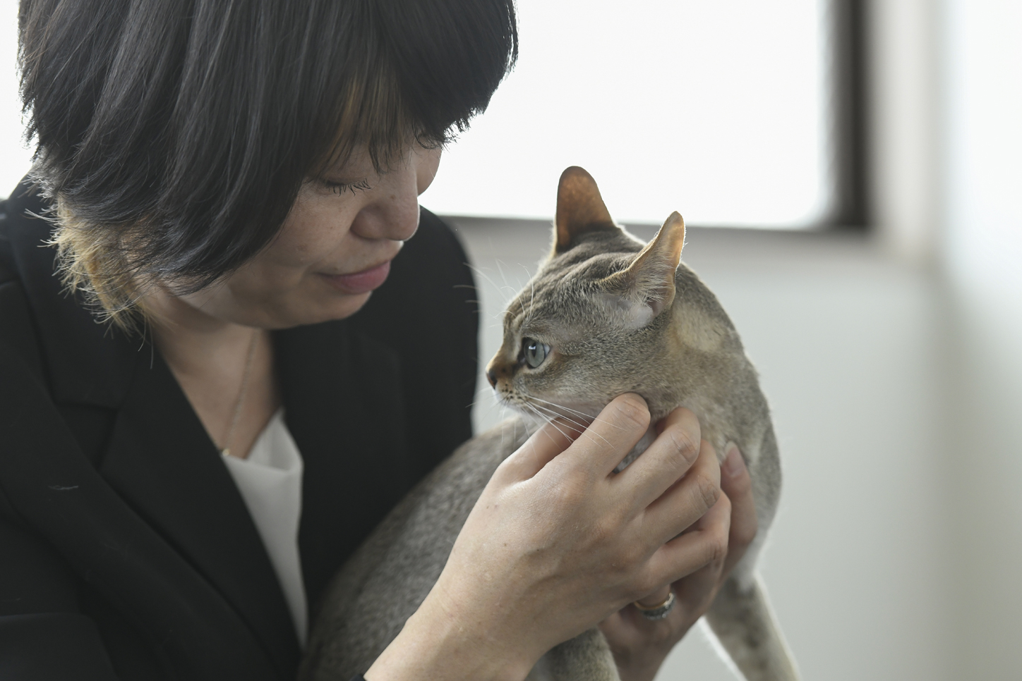 会場に行けば高瀬さんとニューシャインくんに会える！