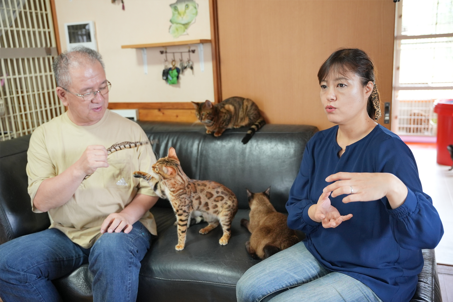 取材しているソファの横にも猫舎