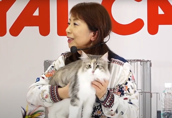 CAT SHOWの楽しみ方講座