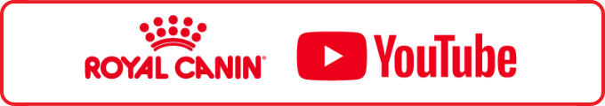 ROYAL CANIN YouTube