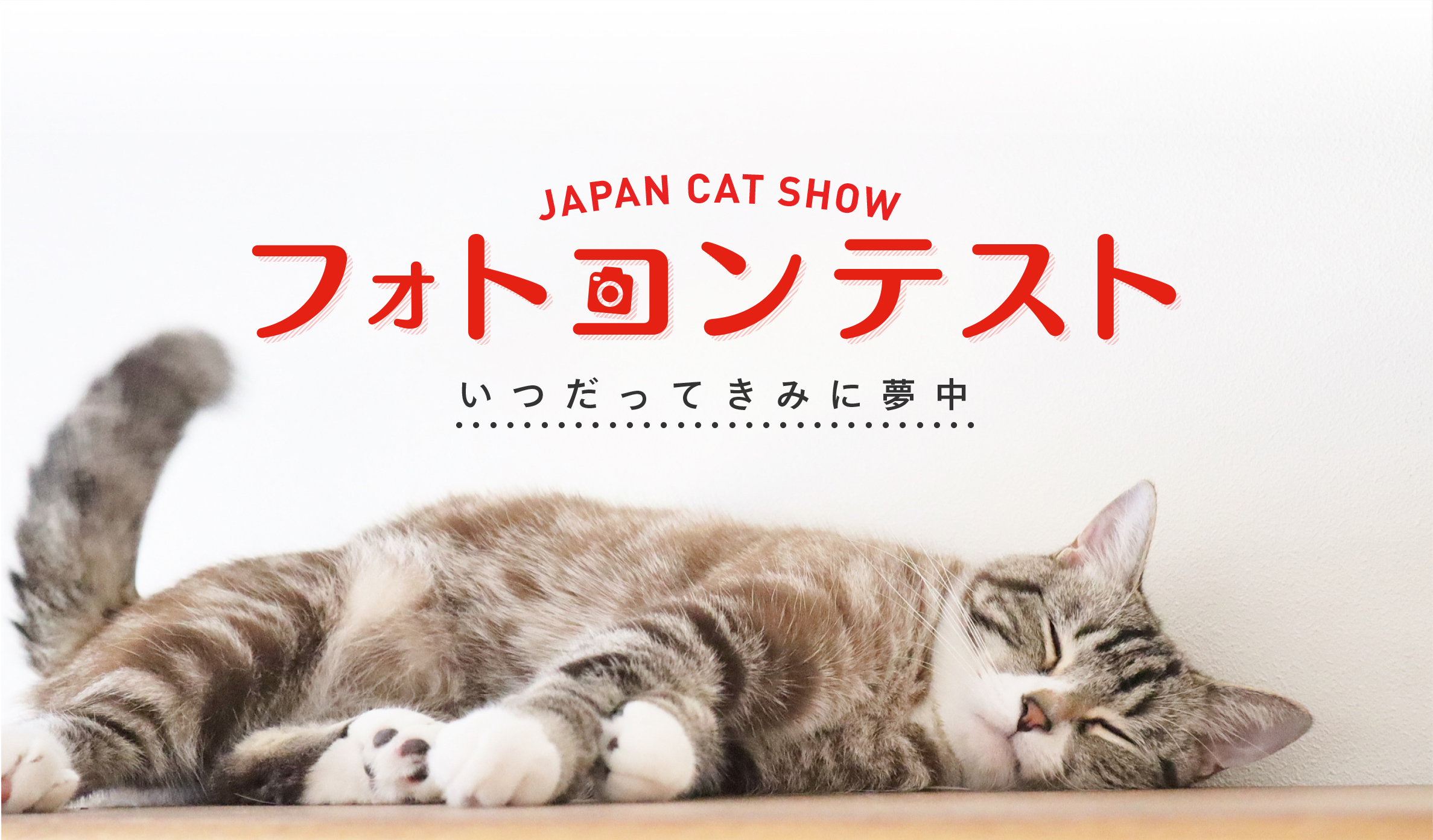 japan cat show 2024 フォトコンテストメインページ