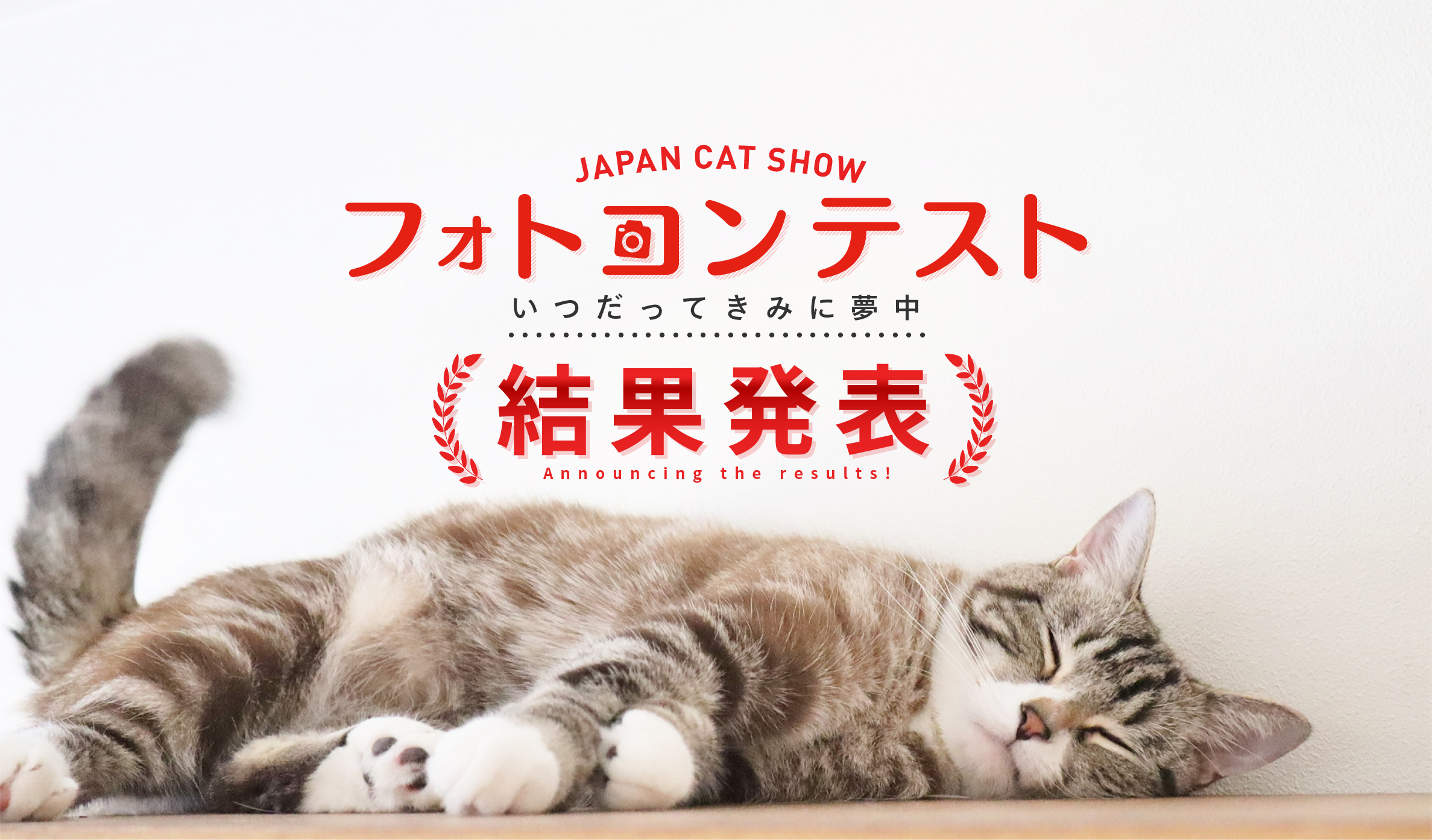 japan cat show 2024 フォトコンテストメインページ