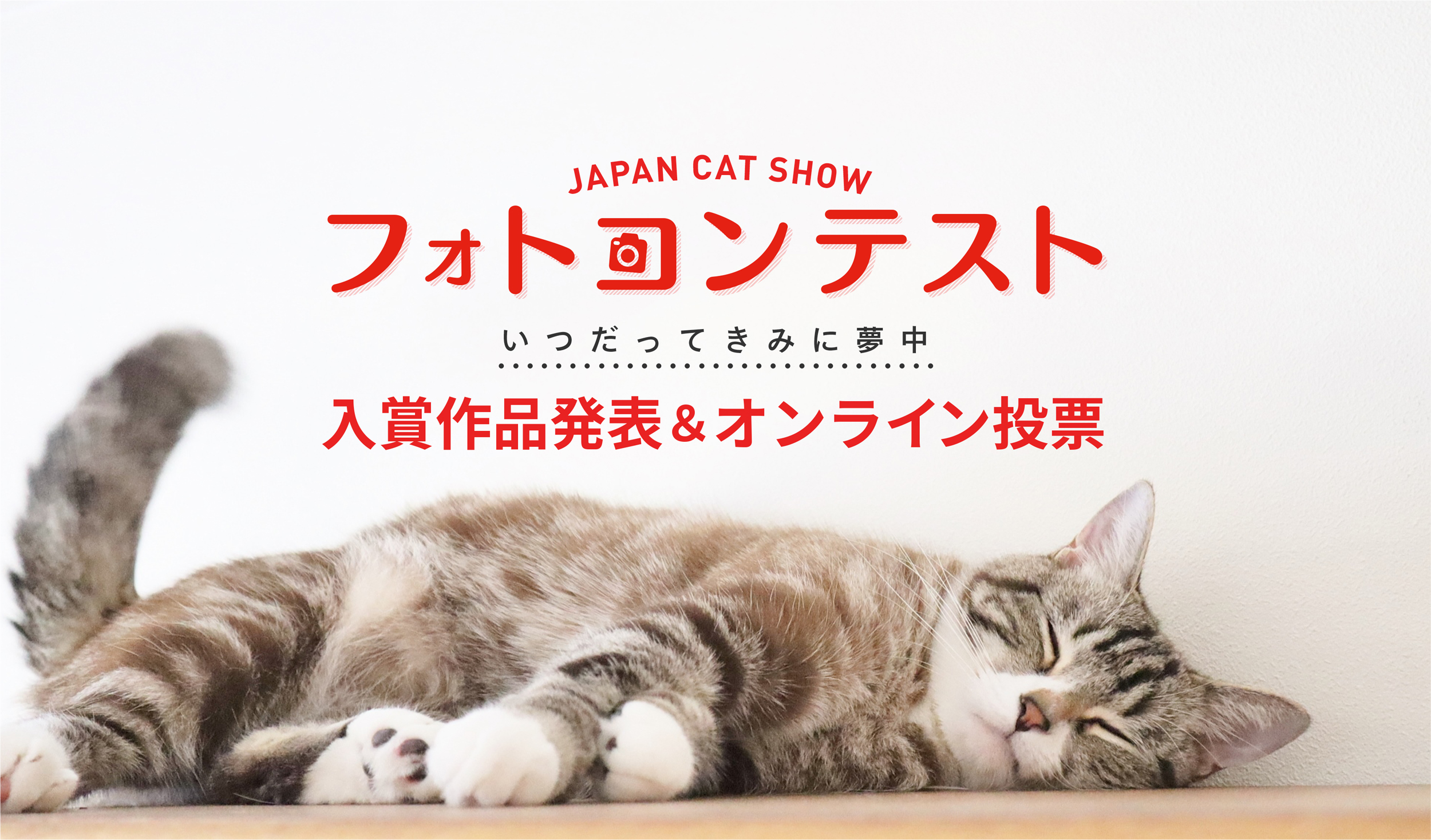 japan cat show 2024 フォトコンテストメインページ